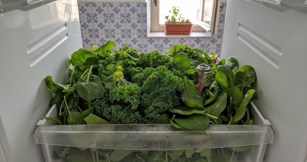 piccola-modifica-impostazioni-frigorifero-prodotti-freschi